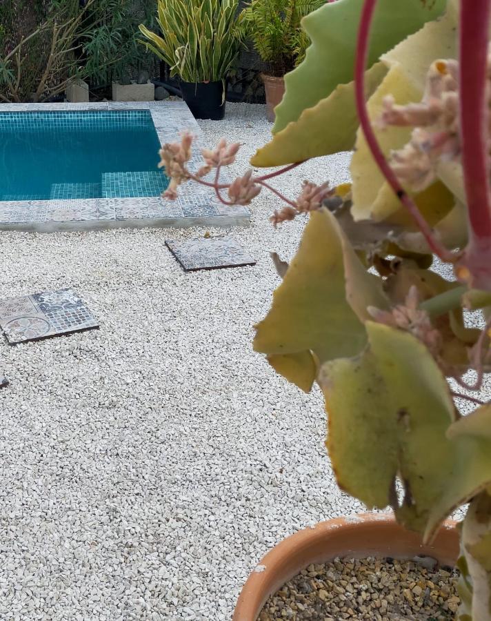 Villa Casa Eline De Lujo Casco Antiguo Altea Piscina Privada Y Jardin Extérieur photo